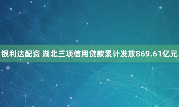 银利达配资 湖北三项信用贷款累计发放869.61亿元