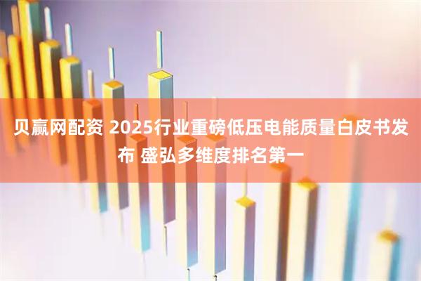 贝赢网配资 2025行业重磅低压电能质量白皮书发布 盛弘多维度排名第一